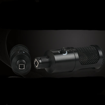 Game Voice Microphone