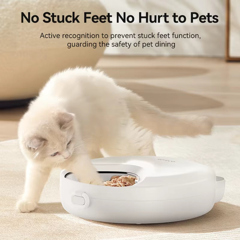 4 Meals Wireless Automatic Cat Feeder for Wet Dry Feeding Food Dispenser for Cats Dog Multifunctional Smart Pet Feeder